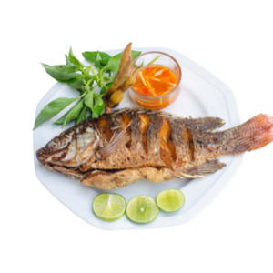 Fresh Fish